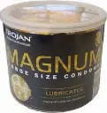Magnum48Loose.webp