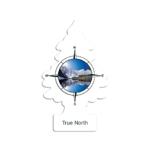 Little Tree Car Freshner (True North)