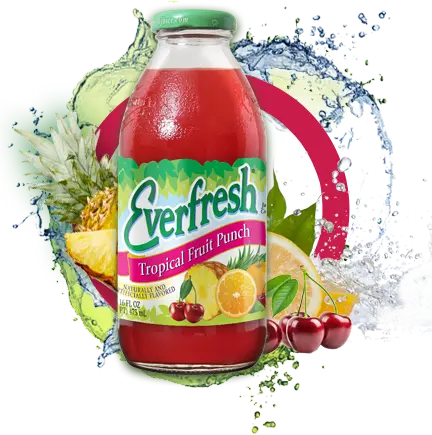 [EF16FP] EF Fruit Punch 12/16fl.oz. 